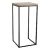Fiona Wood Top Plant Stand With Metal Base, Large -Family Home Furn Store fiona wood top plant stand with metal base large